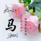 纪群e