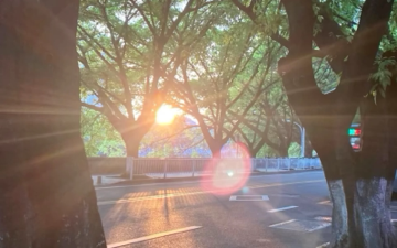 零二年的冬海报