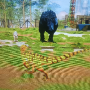 过客🌿🇨🇳