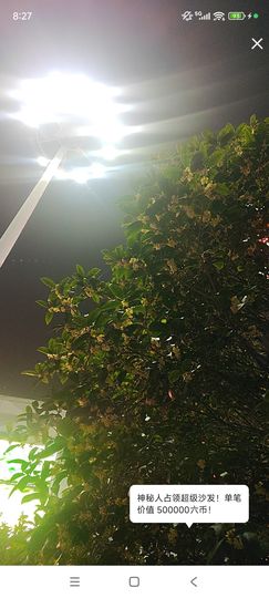 婷婷💕求升级的图片