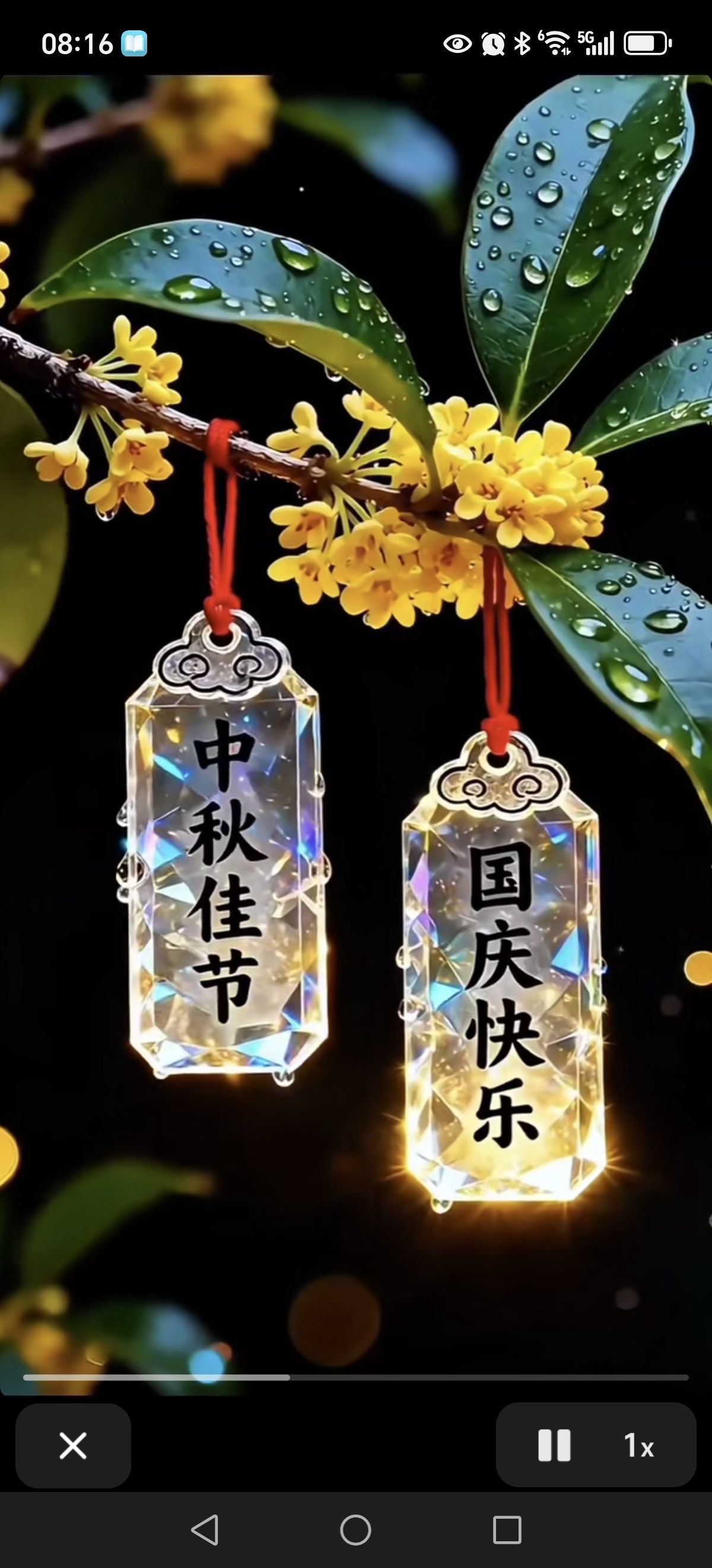丑小鸭💞愿有一束光的主播照片
