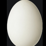 🥚78