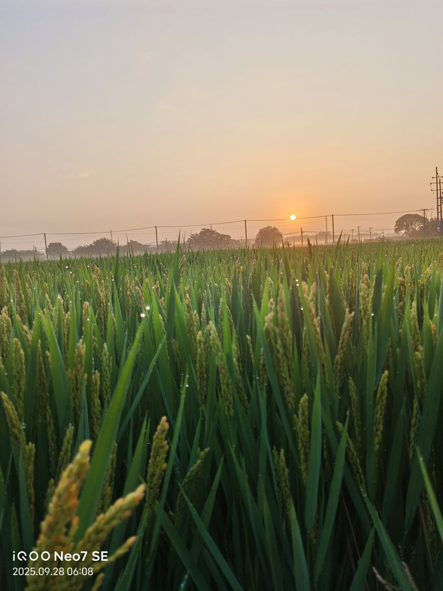 封號斗罗主播图片