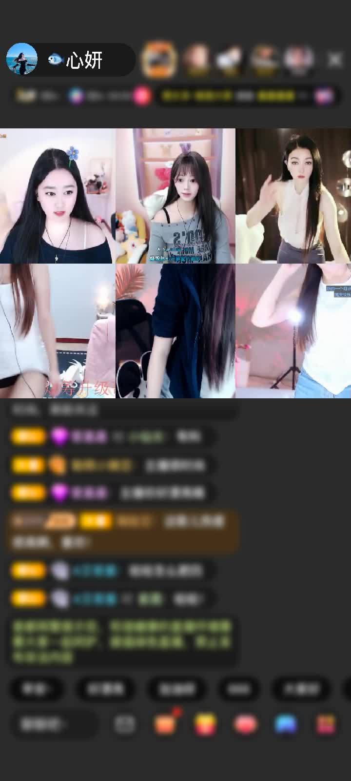 感谢陪伴的人明天会更好赠送菜狗卖萌13个