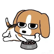 肉包不吃鱼