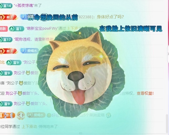 小水💦💦的主播照片