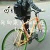 痴情的执着！的头像