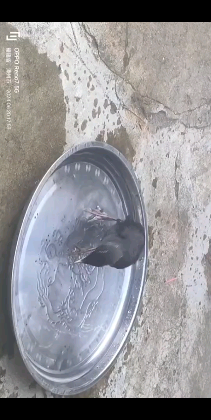 喜欢洗澡
