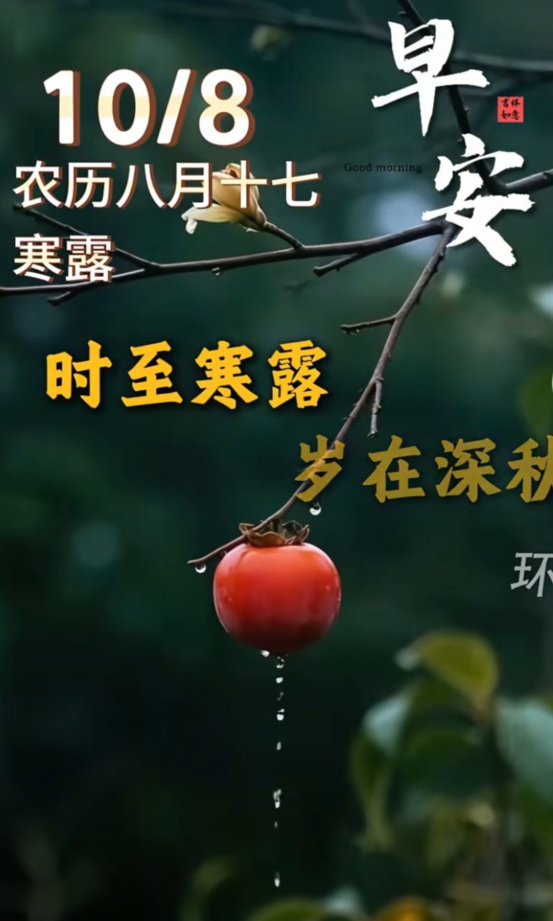 紫薇☆☆音乐频道主播图片