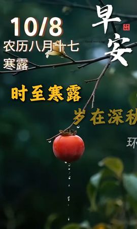 紫薇☆☆音乐频道的图片