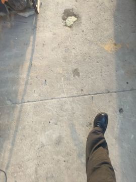 再无归期……的图片