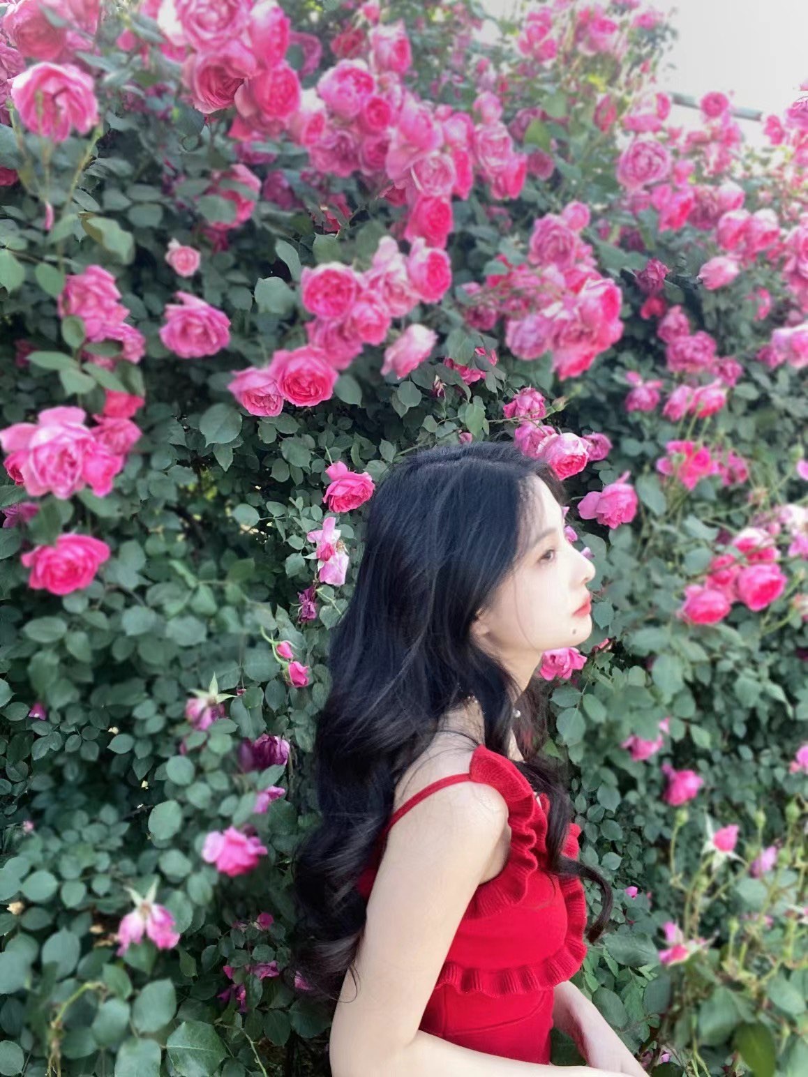 Xr小软呀主播图片