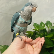 ᥬ瓜瓜ᩤ