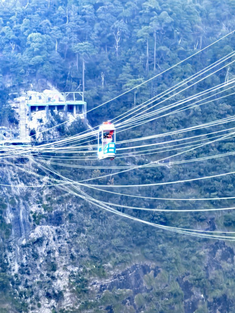 ☜花香染晨☞主播图片