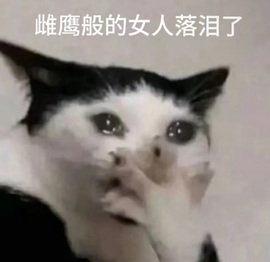 绵绵冰🧊有事休的图片