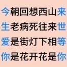 🐺狼头🐺