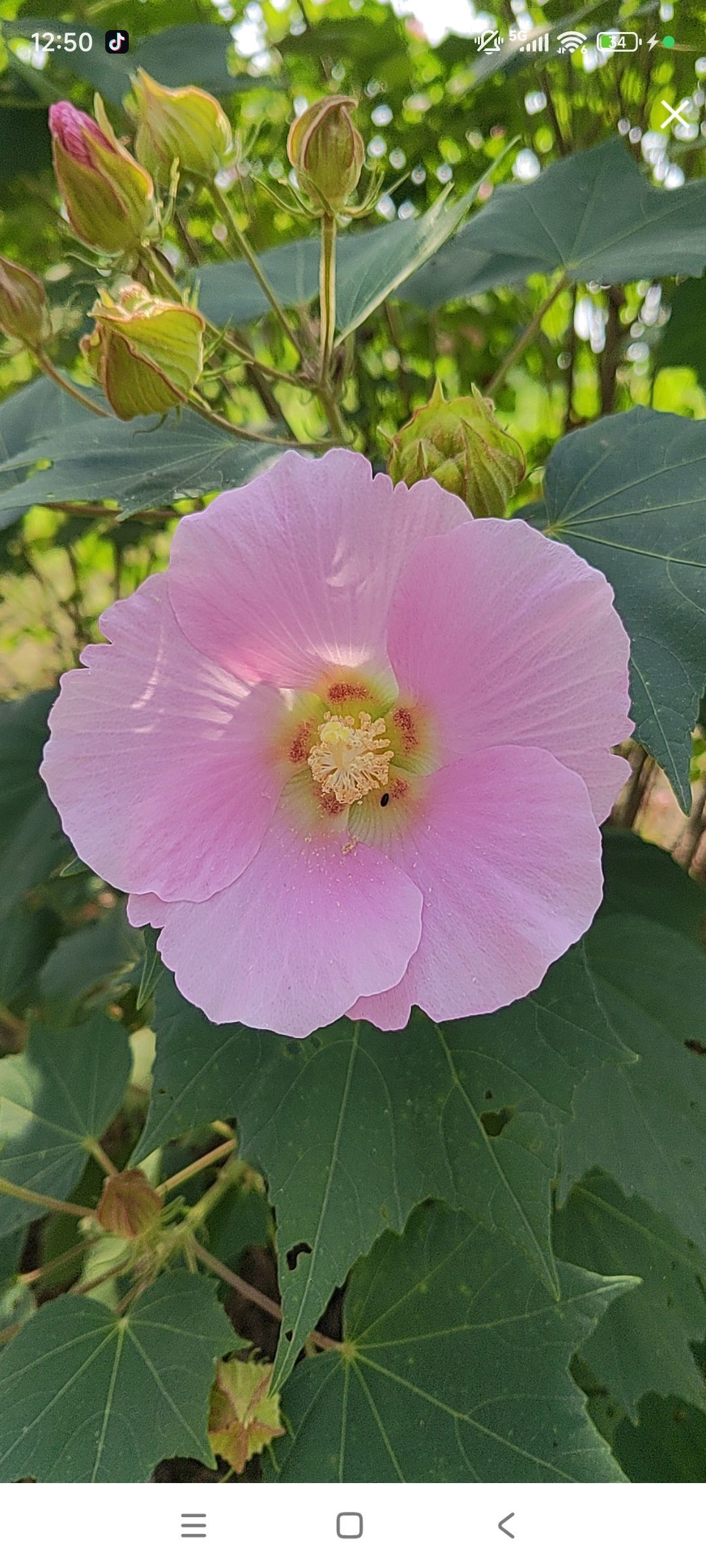 婷婷💕感恩有你陪伴主播图片