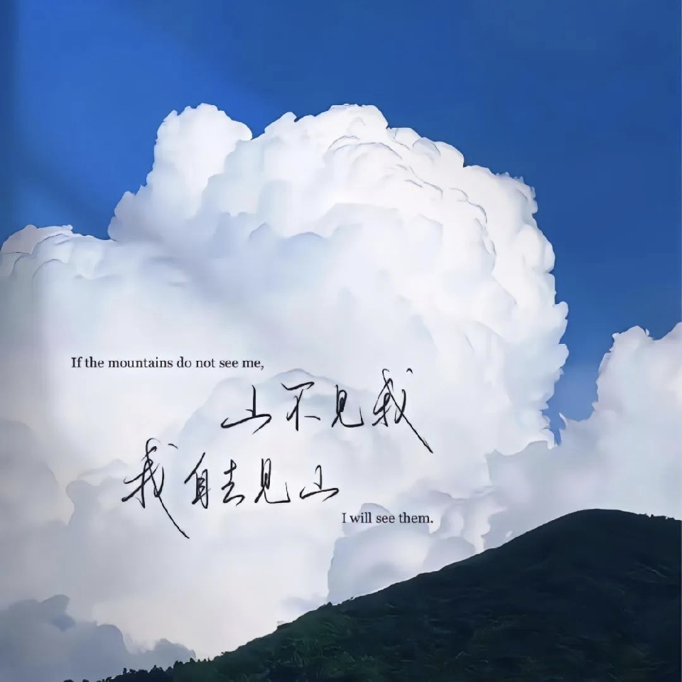 风华5678海报