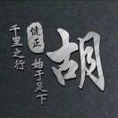 胡哥qs9