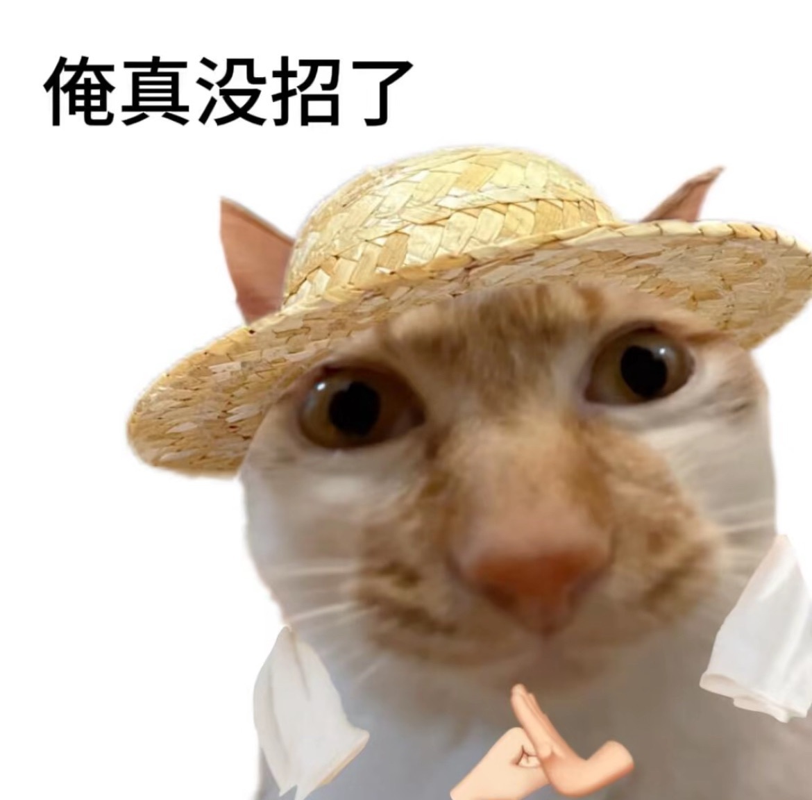 uu💫主播图片