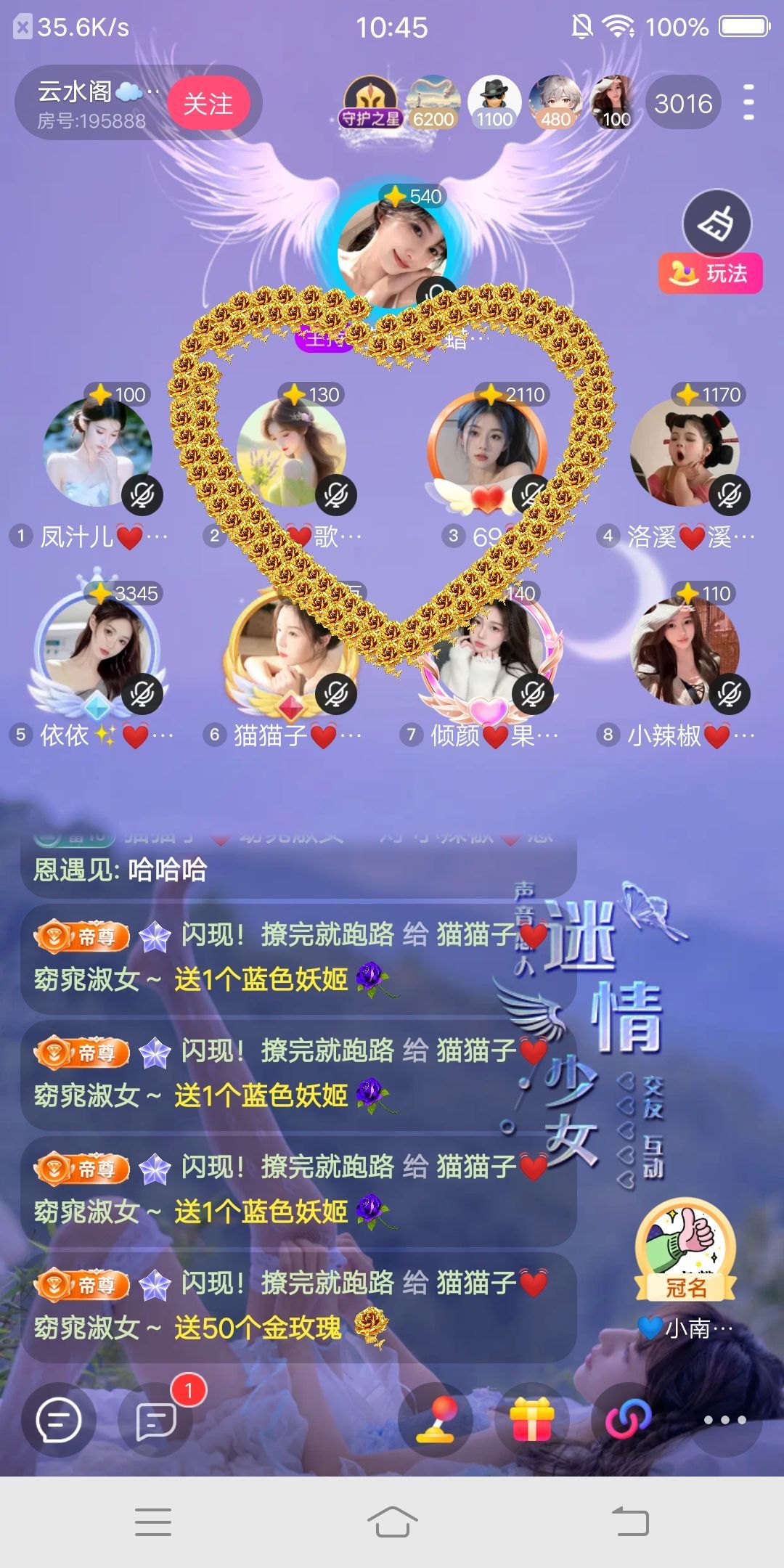 猫猫子💓窈窕淑女～主播图片