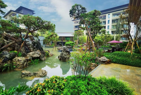 李树镇山河！海报