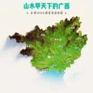 南方7y