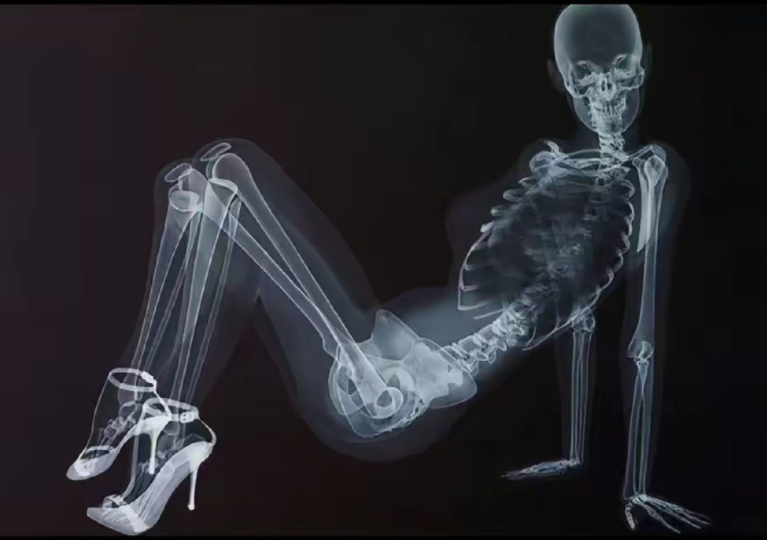 禾眠眠✨主播图片
