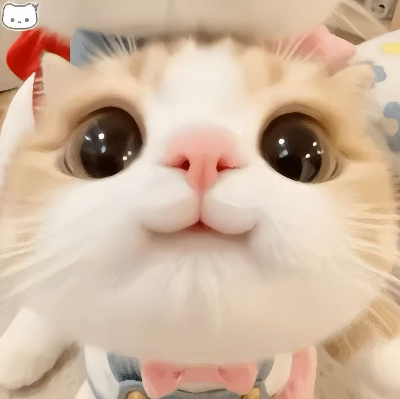 小雪碧缺人疼💓主播图片