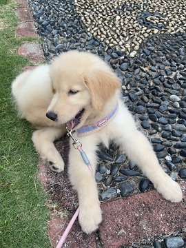 小可柔💜的图片