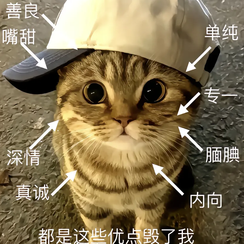 昭昭仔海报