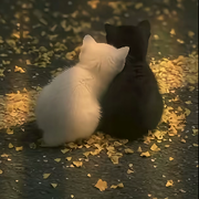 ﾉ☀🌙头像