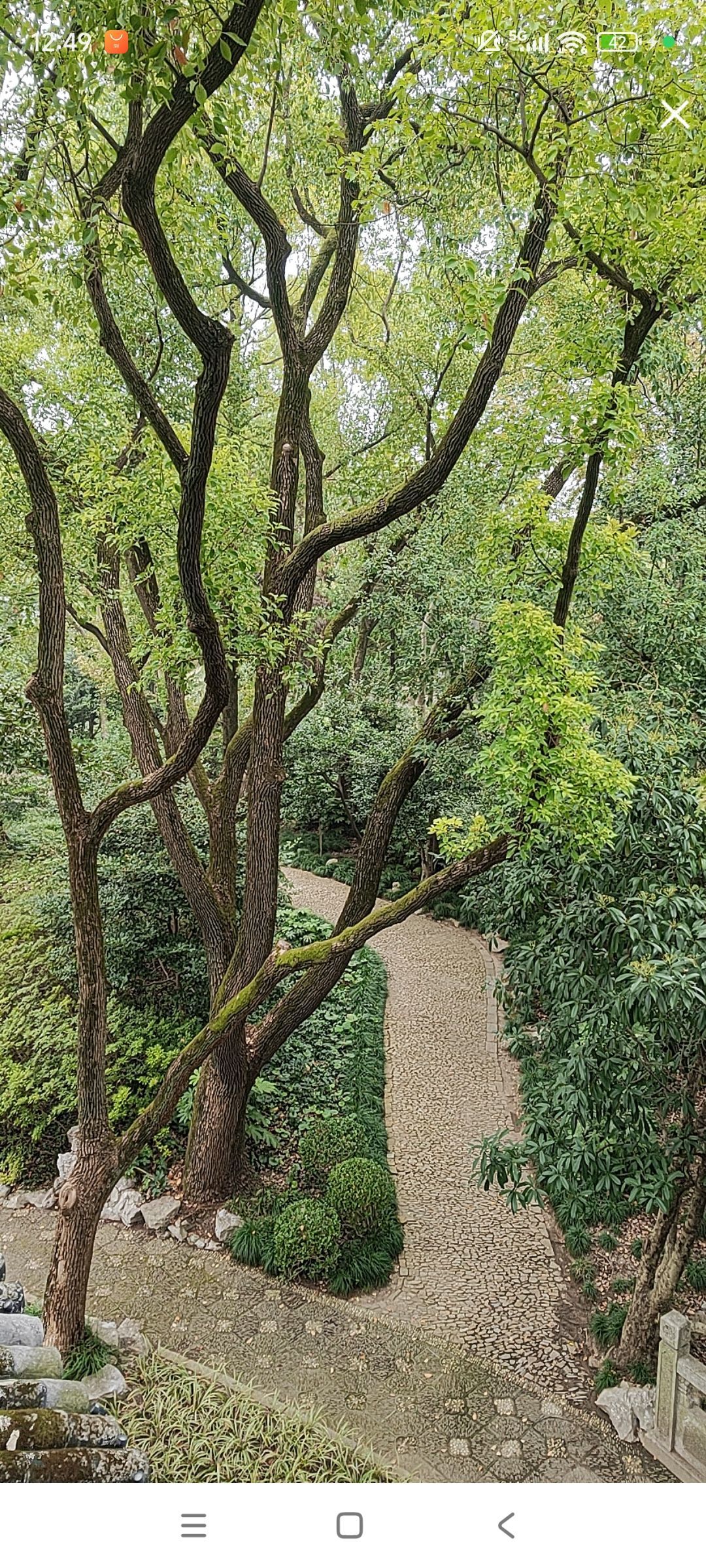 婷婷💕感恩有你陪伴主播图片