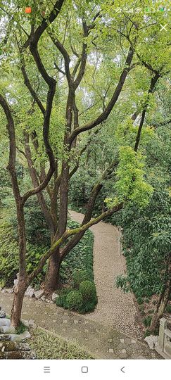 婷婷💕求过月底任务的图片