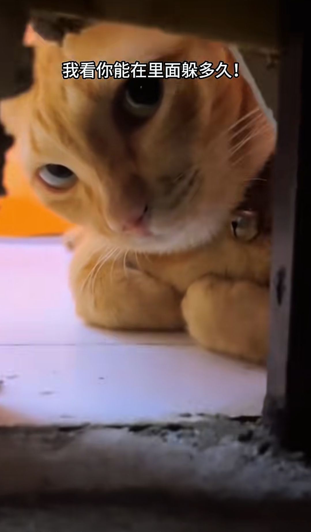 OnlySnow主播图片