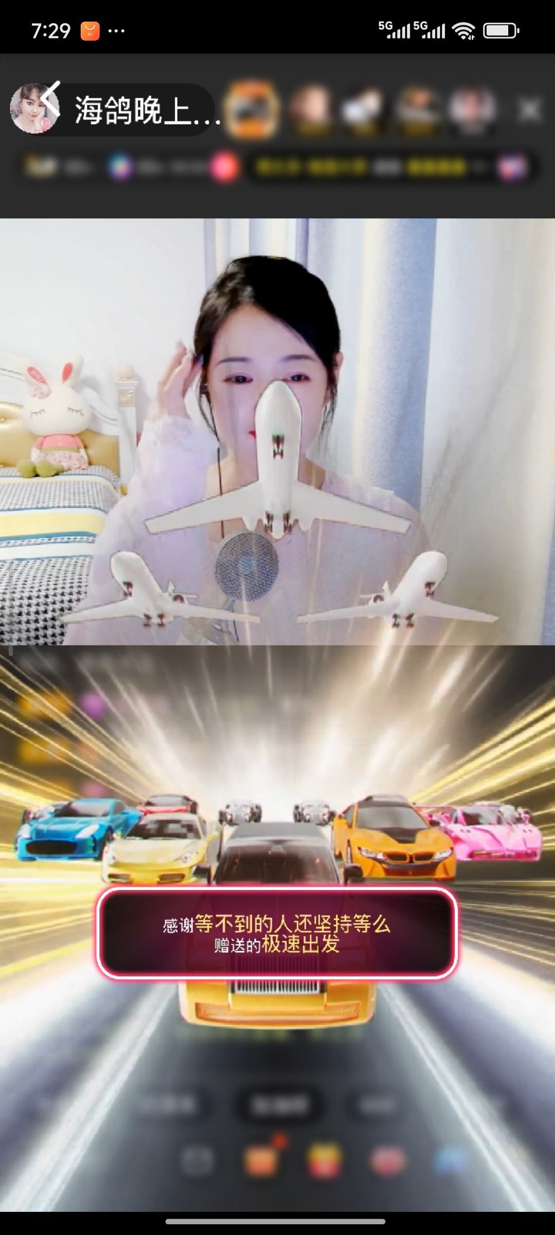 海鸽晚上播主播图片