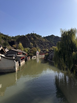 葡萄Vvv的图片