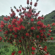 号已退了