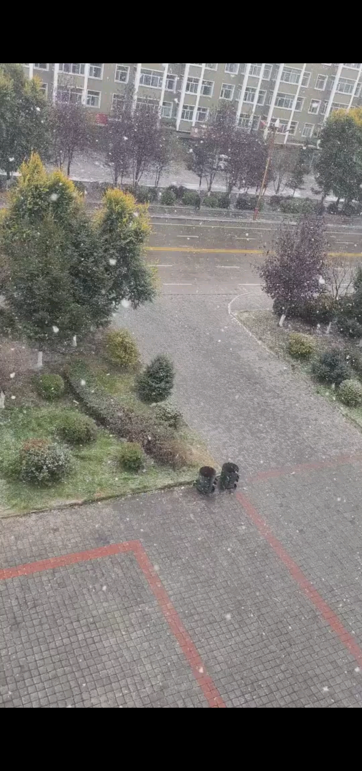 我这里已经下雪了，你
