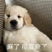 昵称昵称不违规