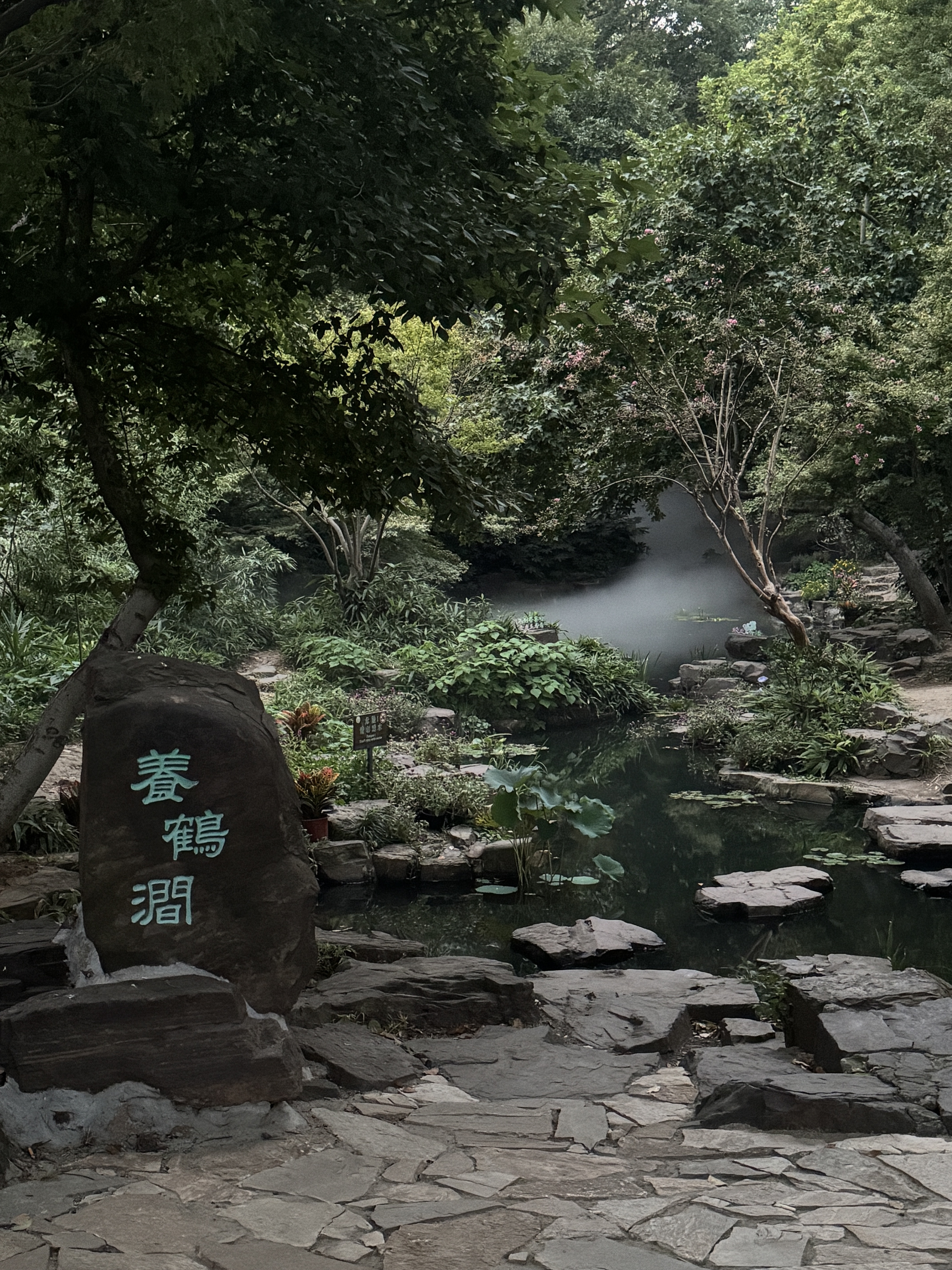于小魚愛唱歌~主播圖片