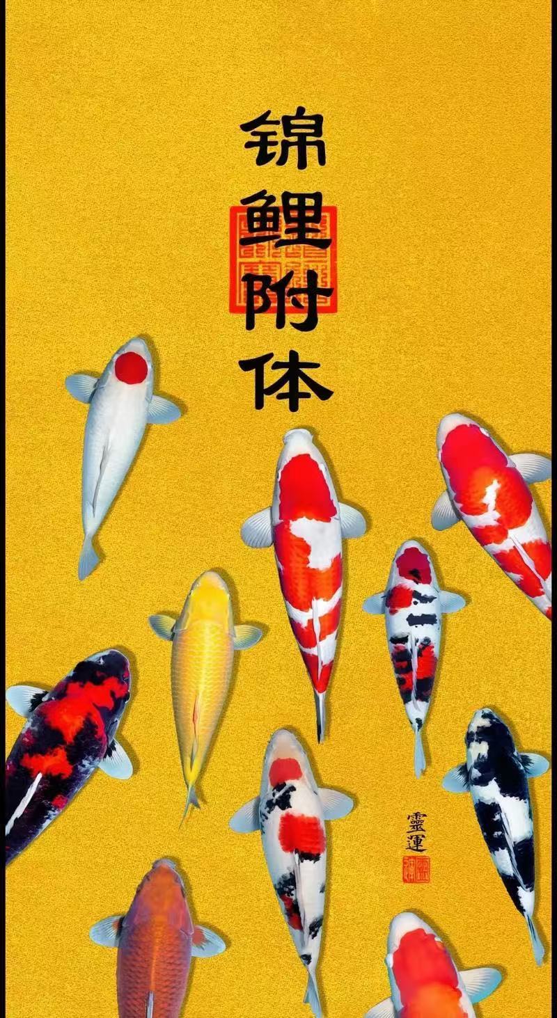 ღ锦鲤来米ꦼ多财多亿主播图片