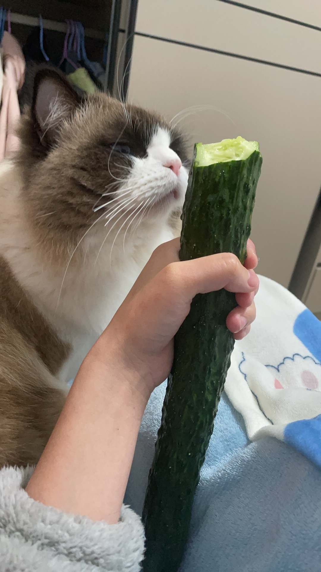 鄒怡佳主播圖片