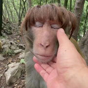 哇，快看，大姬哥来了