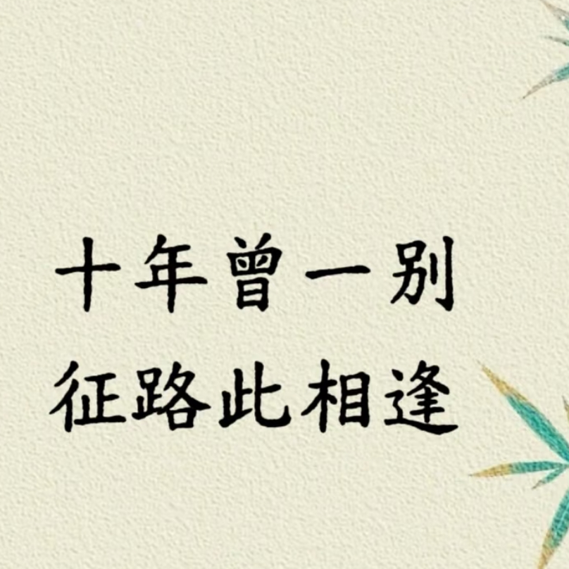茶已凉，别再续海报