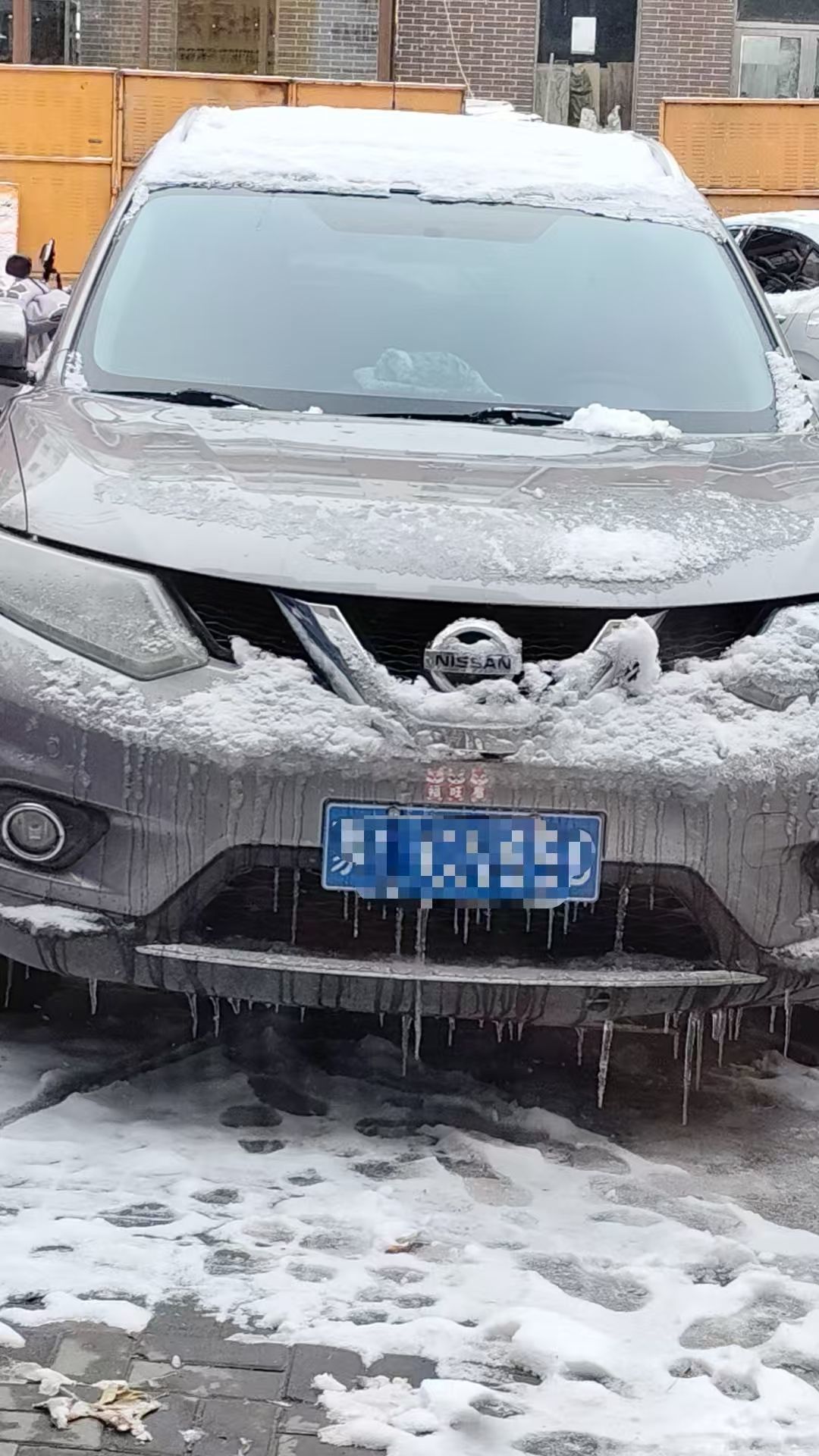 暖情十月要努力主播图片