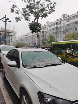 天王盖地虎虎044的图片