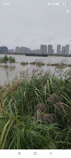 婷婷💕求过月底任务的图片