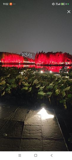 婷婷💕求过月底任务的图片