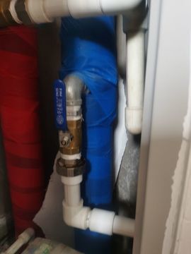 天王盖地虎虎044的图片